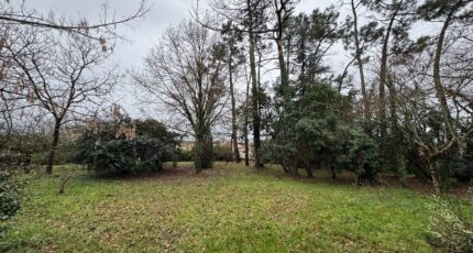 Le Taillan-Médoc Terrain à bâtir - 2421398-11726annonce120260206vdwoc.jpeg Maisons France Confort