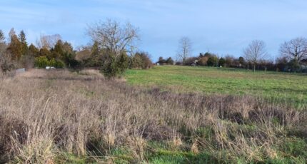 Salles-d'Angles Terrain à bâtir - 2421502-11268annonce1202602067lPTi.jpeg Maisons France Confort