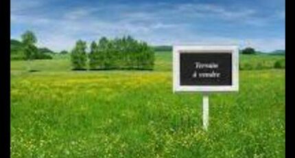 Longjumeau Maison neuve - 2421305-11226annonce120260206kXuWX.jpeg Maisons France Confort