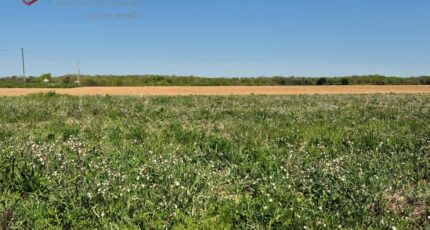 Saint-Médard-d'Aunis Maison neuve - 2420240-6087annonce120260205cc2gp.jpeg Maisons France Confort