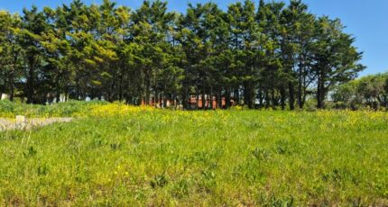 Saint-Médard-d'Aunis Maison neuve - 2420482-6087annonce220260206JHTTR.jpeg Maisons France Confort