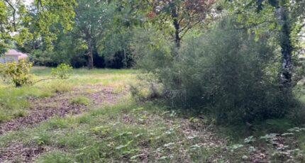 Le Teich Terrain à bâtir - 2421671-11311annonce320260207yE9T7.jpeg Maisons France Confort