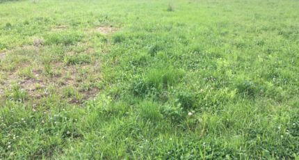 Charnay-lès-Mâcon Maison neuve - 2421854-754annonce120260207Ik68f.jpeg Maisons France Confort