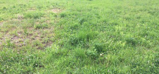 Terrain à bâtir à Charnay-lès-Mâcon, Bourgogne-Franche-Comté