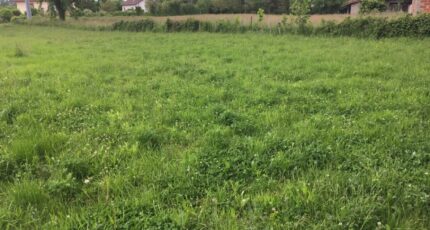 Charnay-lès-Mâcon Terrain à bâtir - 2421851-754annonce220260207nJCrN.jpeg Maisons France Confort