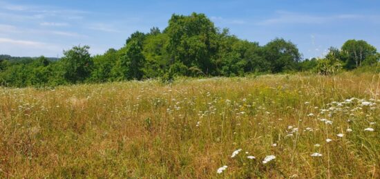 Terrain à bâtir à Montlieu-la-Garde, Nouvelle-Aquitaine