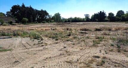 Salon-de-Provence Terrain à bâtir - 2422103-11041annonce220260208Zf11u.jpeg Maisons France Confort