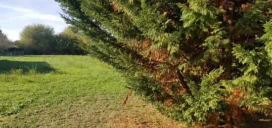 Terrain à bâtir à Saint-Quentin-de-Baron, Nouvelle-Aquitaine