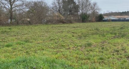 La Teste-de-Buch Maison neuve - 2422535-11311annonce2202602096U7Op.jpeg Maisons France Confort