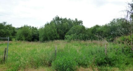 Chars Terrain à bâtir - 2422721-11688annonce120260209xDLOS.jpeg Maisons France Confort