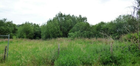 Terrain à bâtir à Chars, Île-de-France