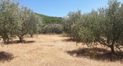 Puget-Ville Terrain à bâtir - 2344544-5622annonce320251120dXPso.jpeg Maisons France Confort