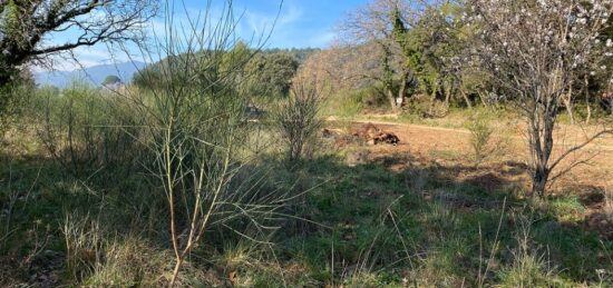 Terrain à bâtir à Puget-Ville, Provence-Alpes-Côte d'Azur