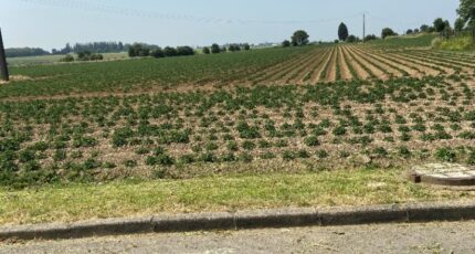 Écurie Maison neuve - 2420158-6159annonce220260205sf51y.jpeg Maisons France Confort