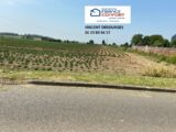 Maison à construire à Écurie (62223) 2420170-6159annonce120260205tXQCl.jpeg Maisons France Confort