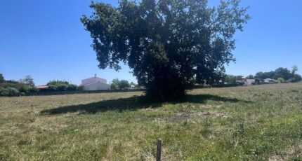 Saujon Maison neuve - 2383263-11452annonce220260106ZxrVI.jpeg Maisons France Confort