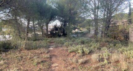 Alleins Terrain à bâtir - 2423081-3969annonce120260209wA3rk.jpeg Maisons France Confort