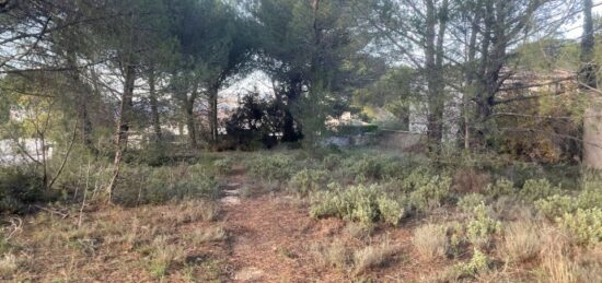 Terrain à bâtir à Alleins, Provence-Alpes-Côte d'Azur