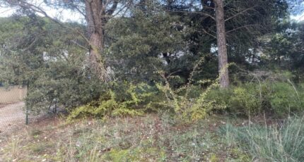 Alleins Terrain à bâtir - 2423081-3969annonce420260209F4u1S.jpeg Maisons France Confort