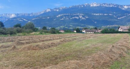 Pontcharra Terrain à bâtir - 2420515-3618annonce120260206dSyUk.jpeg Maisons France Confort