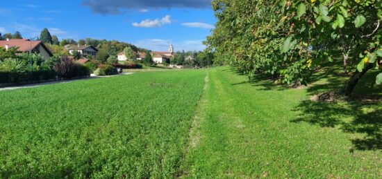 Terrain à bâtir à Saint-Blaise-du-Buis, Auvergne-Rhône-Alpes