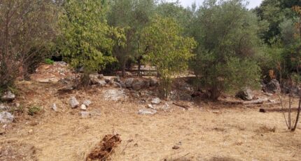 Camps-la-Source Terrain à bâtir - 2385344-11137annonce2202509153DeaH.jpeg Maisons France Confort