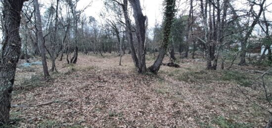 Terrain à bâtir à Trans-en-Provence, Provence-Alpes-Côte d'Azur