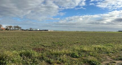 Coulombs Maison neuve - 2356936-11660annonce220251204xpBxJ.jpeg Maisons France Confort