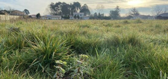 Terrain à bâtir à , Gironde