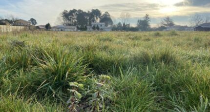 Léognan Maison neuve - 2422796-11071annonce220260209MmoLZ.jpeg Maisons France Confort