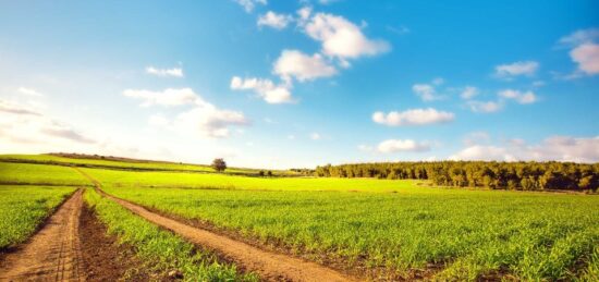 Terrain à bâtir à Mettray, Centre-Val de Loire