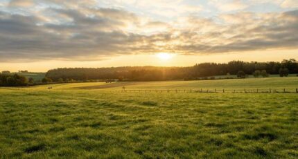 Sorigny Maison neuve - 2383936-10650annonce120260106w5FEU.jpeg Maisons France Confort