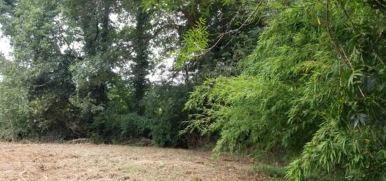 Terrain à bâtir à , Gironde