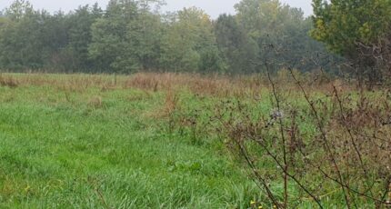 Tizac-de-Lapouyade Terrain à bâtir - 2385465-11015annonce120260108qlu6T.jpeg Maisons France Confort