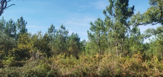 Terrain à bâtir à Hourtin, Nouvelle-Aquitaine