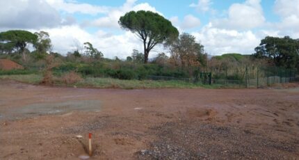 Puget-sur-Argens Terrain à bâtir - 2424331-11157annonce2202602102Je3f.jpeg Maisons France Confort