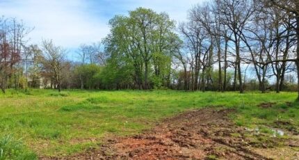 Tournefeuille Maison neuve - 2387205-9555annonce120260109T4pSN.jpeg Maisons France Confort