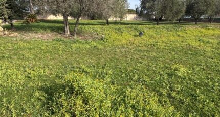 Puget-sur-Argens Maison neuve - 2424709-5826annonce120260121TsZBz.jpeg Maisons France Confort