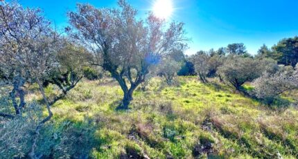 Bagnols-en-Forêt Terrain à bâtir - 2423724-11157annonce220260210ANZWK.jpeg Maisons France Confort