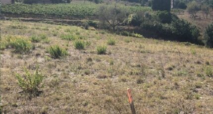 Limoux Terrain à bâtir - 2424845-10986annonce120250626oNJf1.jpeg Maisons France Confort