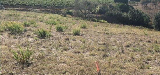Terrain à bâtir à Limoux, Occitanie