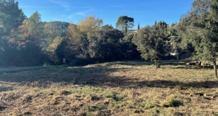 Taradeau Maison neuve - 2424913-11157annonce220260211gtqX6.jpeg Maisons France Confort