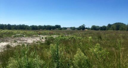 Mios Maison neuve - 2425055-11151annonce120260211ltc35.jpeg Maisons France Confort