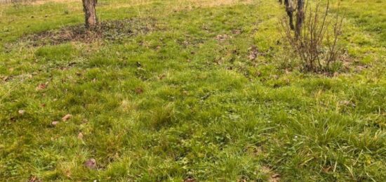 Terrain à bâtir à Madirac, Nouvelle-Aquitaine