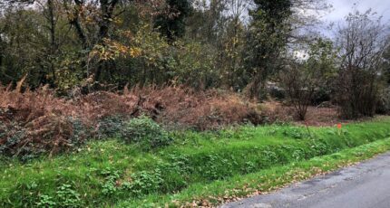 Saint-Savin Terrain à bâtir - 2425682-1090annonce120260211MtaLq.jpeg Maisons France Confort