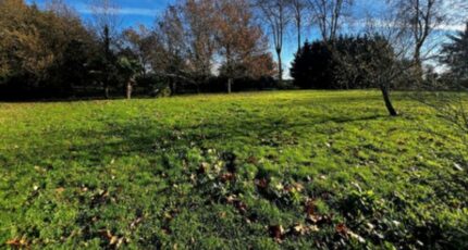 Chelles Terrain à bâtir - 2425120-11374annonce1202602112KrdU.jpeg Maisons France Confort