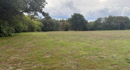 Montastruc-la-Conseillère Terrain à bâtir - 2424876-11356annonce120260211ECGkI.jpeg Maisons France Confort