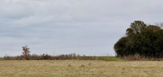 Terrain à bâtir à Saint-Aubin-de-Lanquais, Nouvelle-Aquitaine