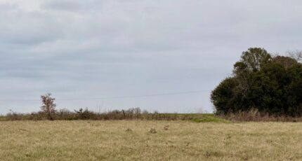 Saint-Aubin-de-Lanquais Maison neuve - 2427250-11709annonce520260212doilr.jpeg Maisons France Confort