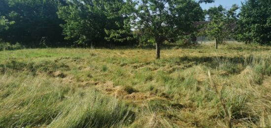 Terrain à bâtir à Saint-Pardon-de-Conques, Nouvelle-Aquitaine